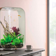Illustration for article titled The biOrb Aquarium Lets You Dive Into Fish Keeping, Without Getting In Over Your Head